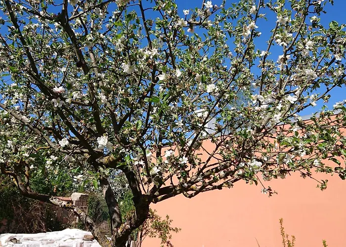 Kamptalschloessl בית הארחה