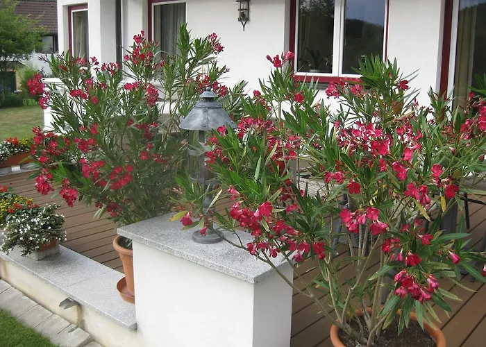 בית הארחה Kamptalschloessl